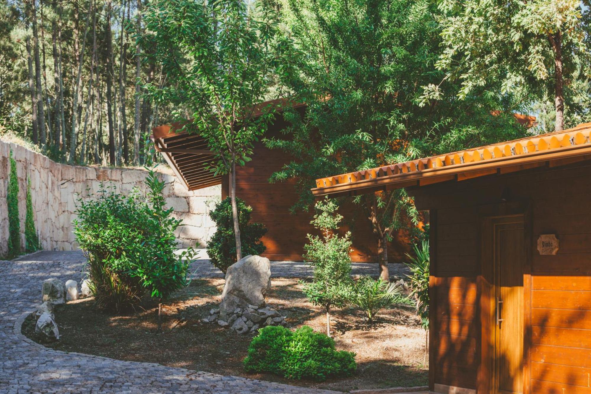 Quinta Do Lameiro Tarouca Εξωτερικό φωτογραφία