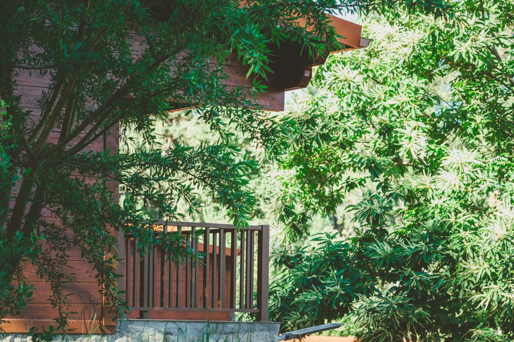Quinta Do Lameiro Tarouca Εξωτερικό φωτογραφία