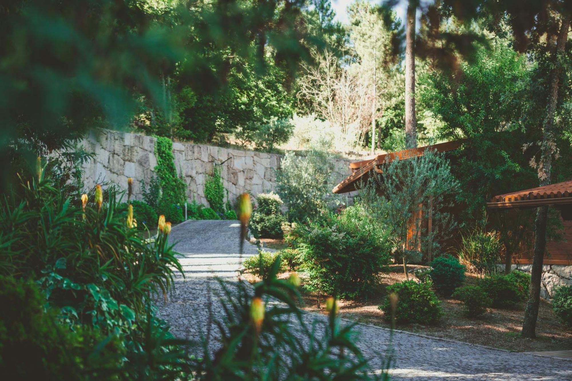 Quinta Do Lameiro Tarouca Εξωτερικό φωτογραφία